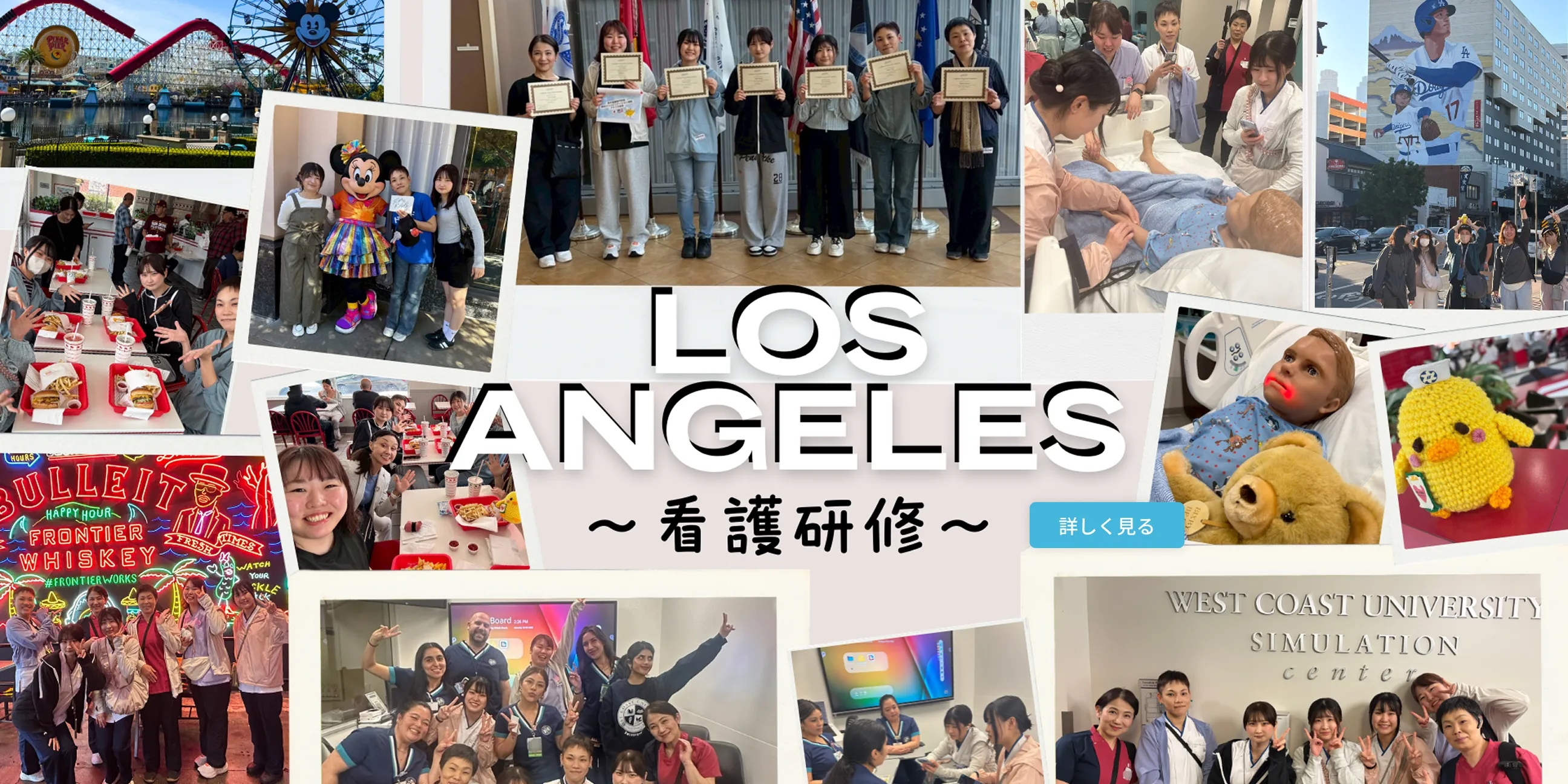 看護研修 LOSANGELES